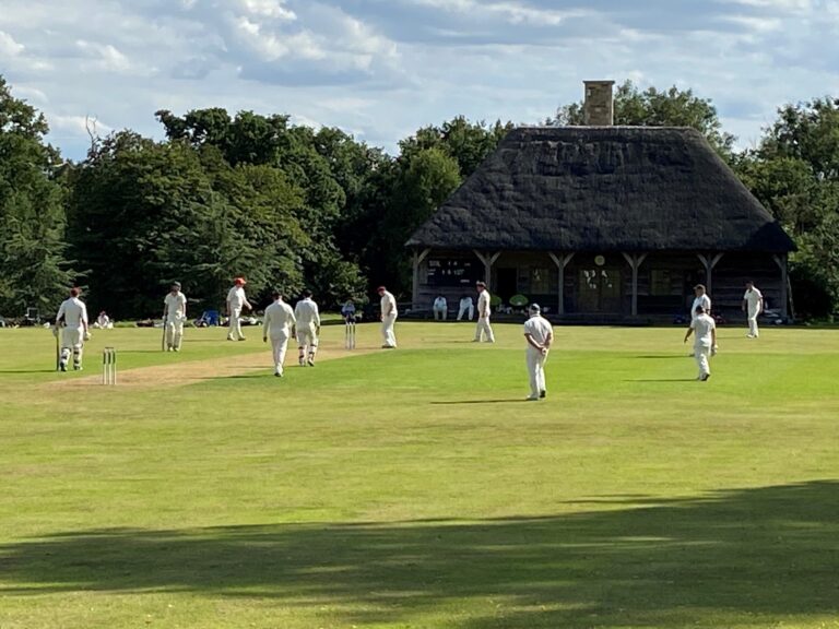 Image of Cricket being played at Spye Park